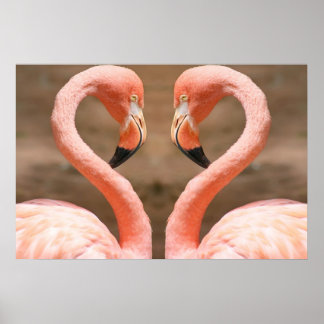 Poster Amour Flamant rose