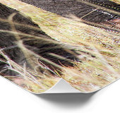 Poster Amour maternel (Coin)