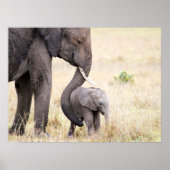 Poster Amour maternel (Devant)