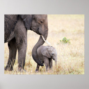 Poster Amour maternel