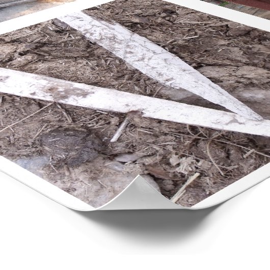 Poster Amour occidental (Coin)