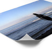 Poster Amour Océanique (Coin)