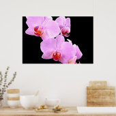 Poster Amour orchidée (Cuisine)