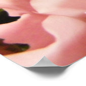 Poster Amour rose (Coin)
