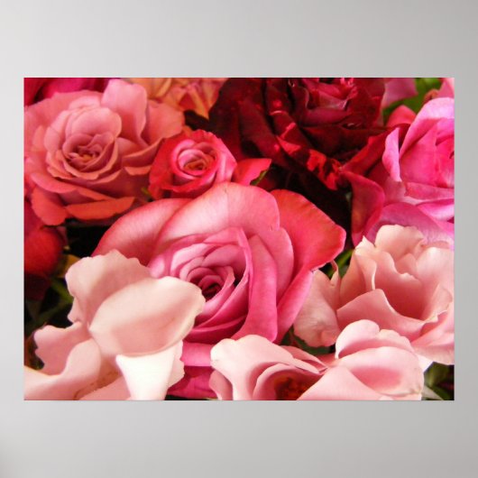 Poster Amour rose (Devant)