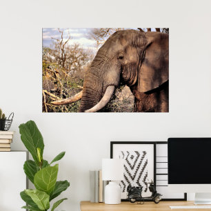 Poster Amoureux de l'art de l'éléphant