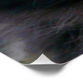 Poster amoureux des chats noir (Coin)