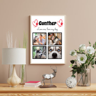 Poster Amoureux des chiens 4 photo collage customisé