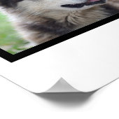 Poster Amoureux des chiens 4 photo collage customisé (Coin)