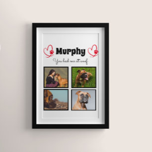 Poster Amoureux des chiens animal 4 photo collage customi