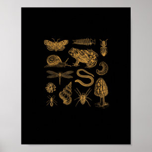 Poster Amoureux vintage de grenouille champignon papillon