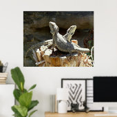 Poster Amphion et Zéthus (Bureau à domicile)