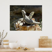 Poster Amphion et Zéthus (Cuisine)