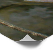 Poster Amphion et Zéthus (Coin)