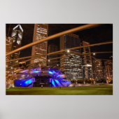 Poster Ampithéâtre Millenium Park (Devant)