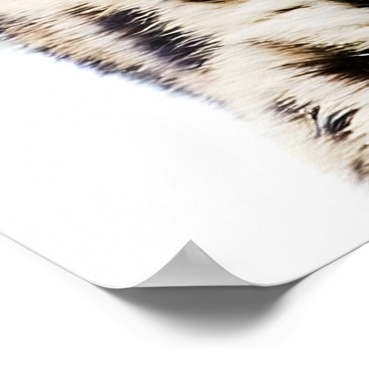 Poster Amur Leopard (Coin)