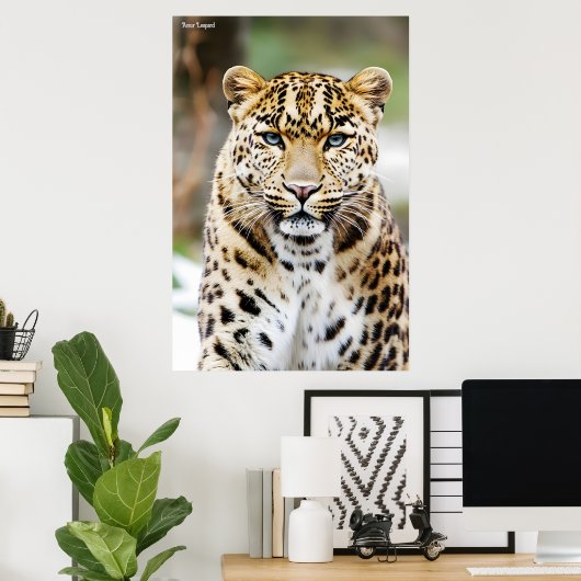 Poster Amur Leopard (Bureau à domicile)