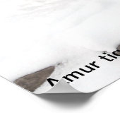 Poster Amur tiger and Cub, Amur tiger and Cub de Dave ... (Coin)