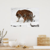 Poster Amur tiger and Cub, Amur tiger and Cub de Dave ... (Cuisine)