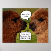 Poster Amusant Alpaca Alpacalypse schéma (Devant)