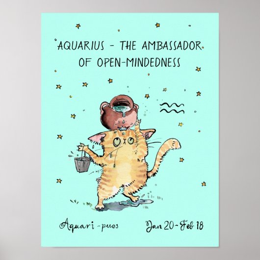 Poster amusant Aquarius Zodiac Chat Affiche de l'é (Devant)