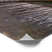 POSTER AMUSANT ÉLÉPHANT (Coin)