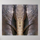 POSTER AMUSANT ÉLÉPHANT (Devant)