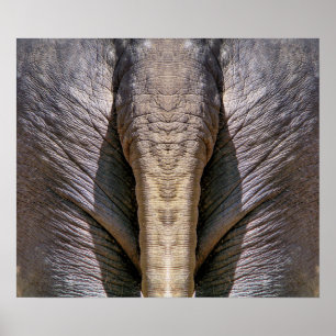 POSTER AMUSANT ÉLÉPHANT