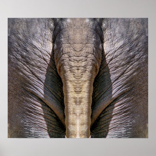 POSTER AMUSANT ÉLÉPHANT (Devant)