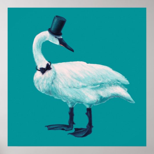 Poster Amusant observation des oiseaux de cygne (Devant)