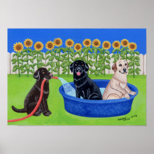 Poster Amusant Pool Party Labradors Artwork