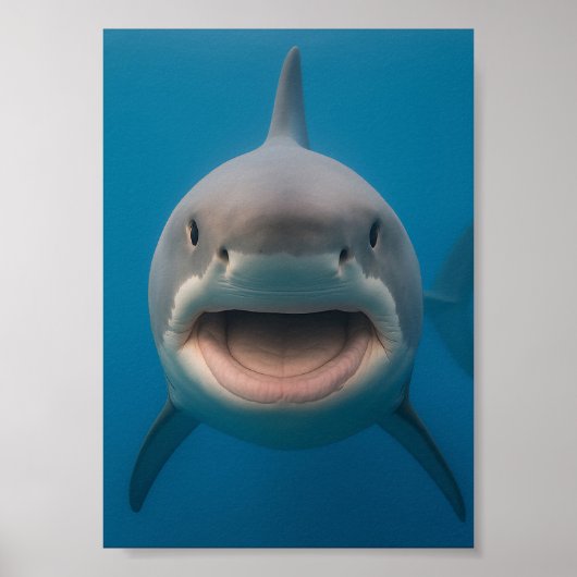 Poster Amusant sans dents grand requin blanc peint art (Devant)