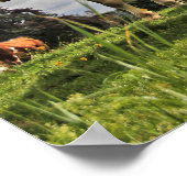 Poster Amusant troupeau de vaches dans le pâturage (Coin)