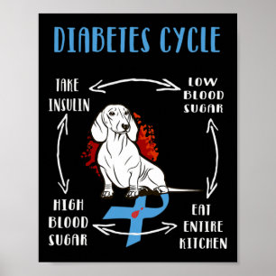 Poster Amusants Dachshund Diabétique Cycle de vie Diabète