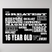 Poster Amusement cool 16e fête d'anniversaire Plus grand (Devant)