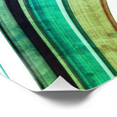 Poster Amusement de bulle tirée / Greenleaf / (Coin)