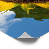 Poster Amusement d'été Tournesol (Coin)