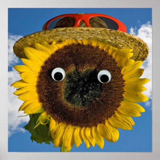 Poster Amusement d'été Tournesol (Devant)