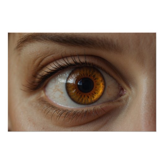 Poster Amusement Oeil Brown (Devant)