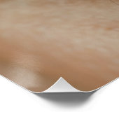 Poster Amusement Oeil Brown (Coin)