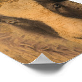 Poster Amy a Jacob Ewe (Coin)