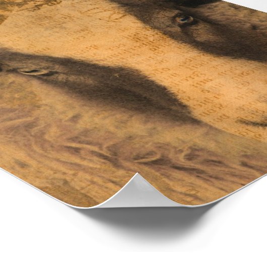 Poster Amy a Jacob Ewe (Coin)