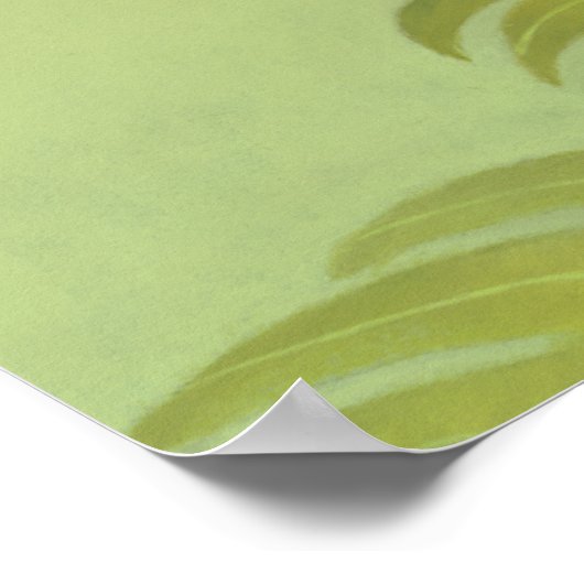 Poster Anaconda (Coin)