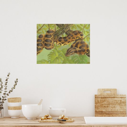 Poster Anaconda (Cuisine)