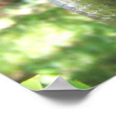 Poster Anaconda vert (Coin)