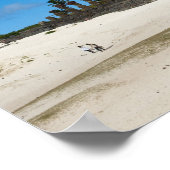 Poster Anakena, Rapa Nui, Easter Island, Chili (Coin)