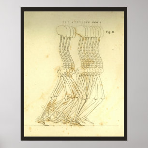 Poster Analyse de la démarche à pied Chiropratique de la 