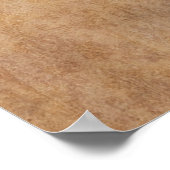 Poster Ananas (Coin)