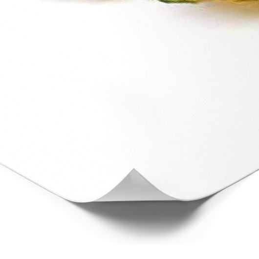 POSTER ANANAS (Coin)