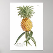 Poster Ananas (Devant)